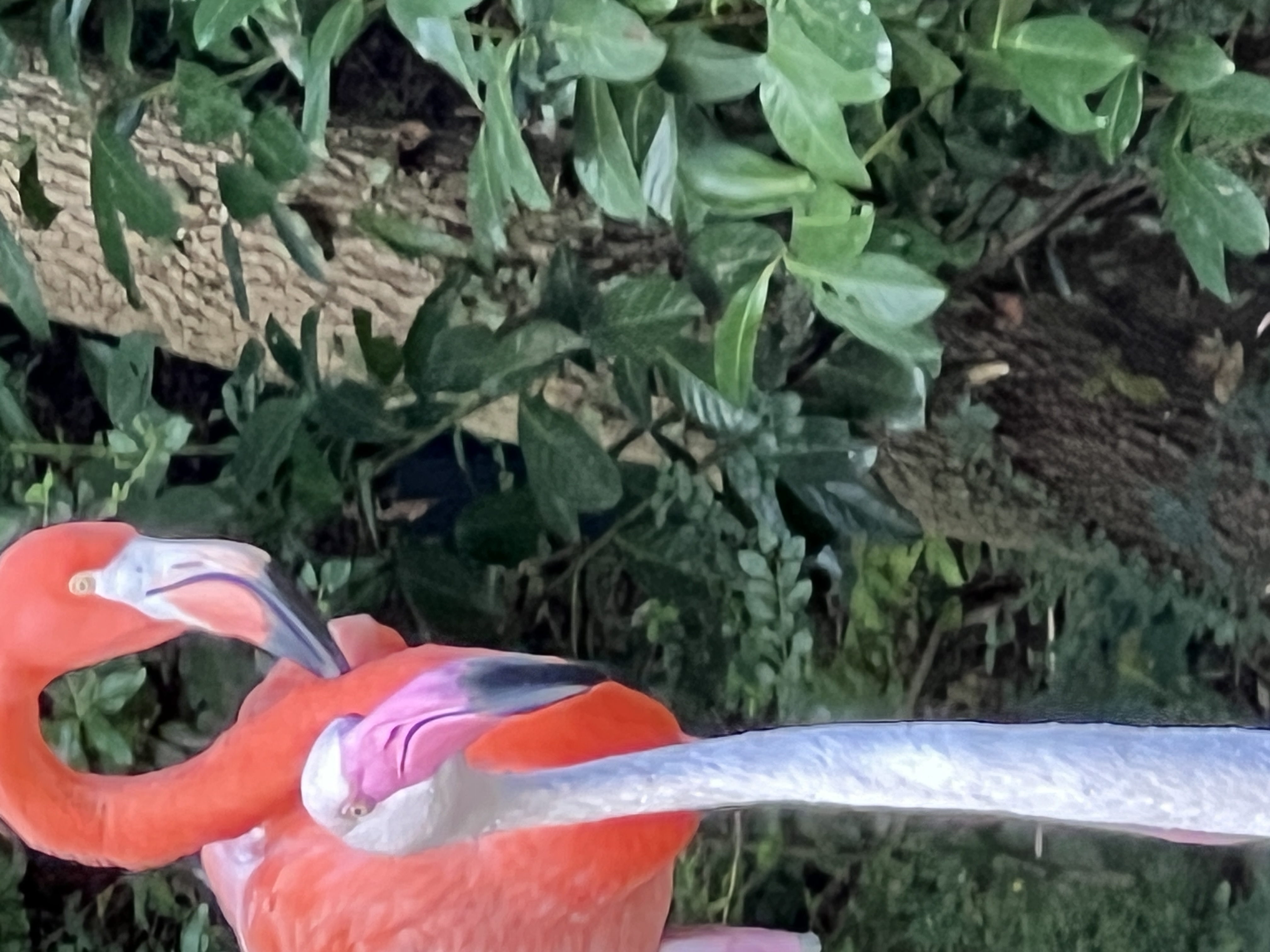 ./2025/11 - Nashville Trip/IMG_7250.JPG